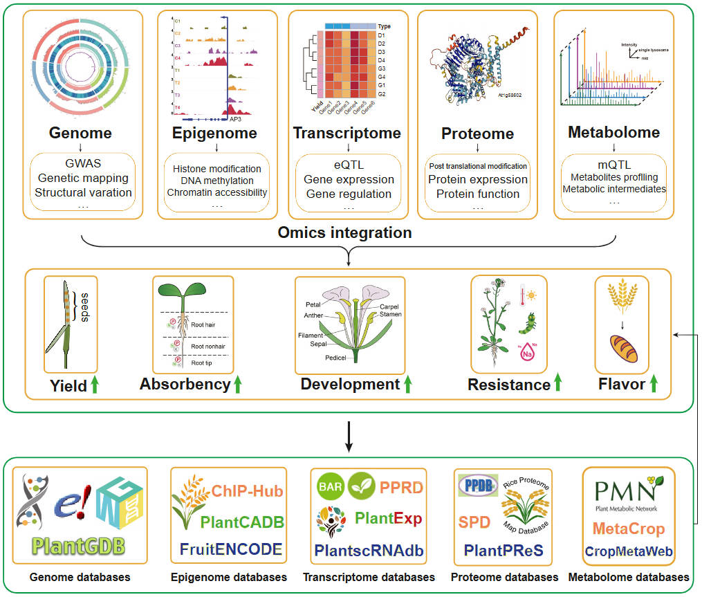 Integrating omics databases for enhanced crop breeding