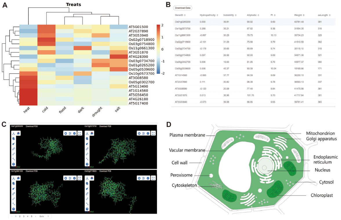 CropGF: a comprehensive visual platform for crop gene family mining and analysis