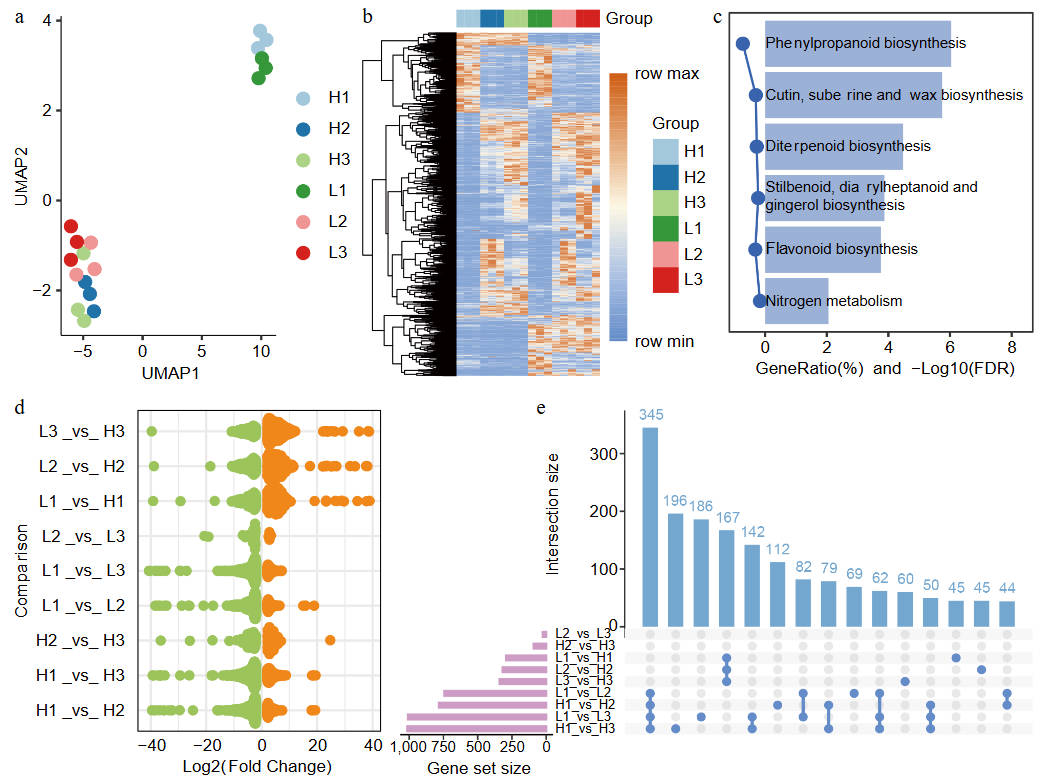 Integration of metabolome and transcriptome reveals flavonoid metabolic network during the developmental stage of flower buds in Cornus wilsoniana